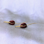 KOORI - Boucles d'oreilles cauri